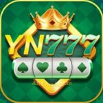 YN777 Apk